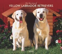 Labrador Retrievers, Yellow For the Love of 2008 Deluxe Wall Calendar (Multilingual Edition)