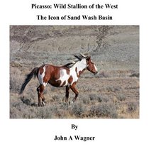 Picasso: Wild Stallion of the West: The Icon of Sand Wash Basin
