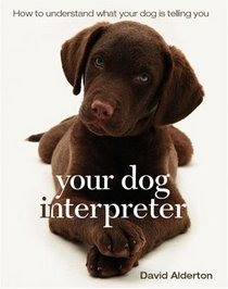 Your Dog Interpreter: How to Understand What Your Dog Is Telling You