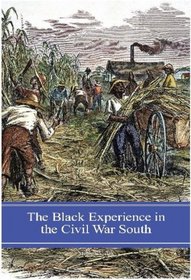 The Black Experience in the Civil War South (Reflections on the Civil War Era)