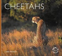 Cheetahs (Worldlife Library)