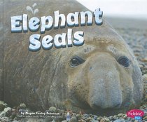 Elephant Seals (Pebble Plus)