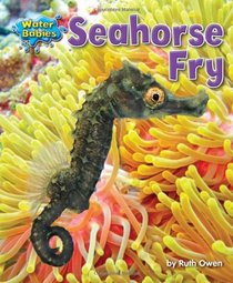 Seahorse Fry (Water Babies)