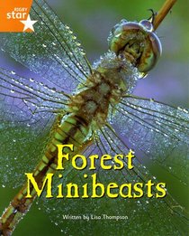 Fantastic Forest: Forest Minibeasts Orange Level Non-Fiction