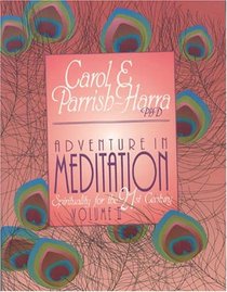 Adventure in Meditation : Spirituality for the 21st Century: Vol II