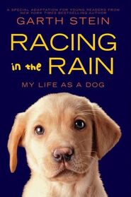 Racing in the Rain -- MY LIFE AS A DOG