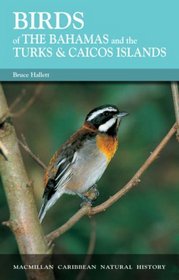 Birds of the Bahamas and the Turks and Caicos Islands (Caribbean Pocket Natural History)