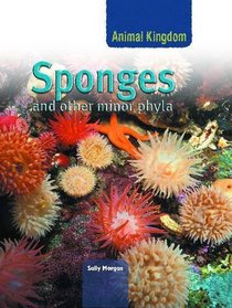 Sponges (Animal Kingdom) (Animal Kingdom)