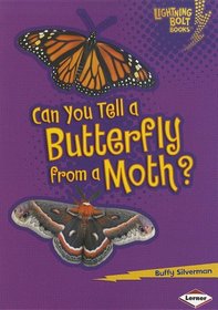 Can You Tell a Butterfly from a Moth? (Lightning Bolt Books: Animal Look-Alikes)