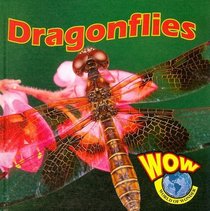 Dragonflies (World of Wonder)