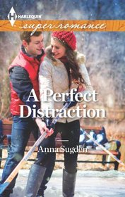 A Perfect Distraction (Harlequin Superromance, No 1874)