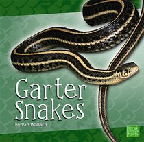 Garter Snakes (First Facts)