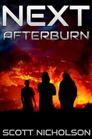 Afterburn (Next) (Volume 1)