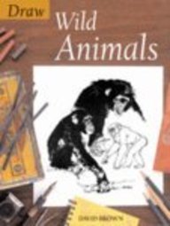 Wild Animals (Draw Books)