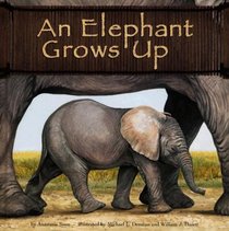 An Elephant Grows Up (Wild Animals)
