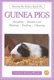 Guinea Pigs (Owning the Perfect Small Pet)