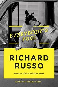 Everybody's Fool (Sully, Bk 2)