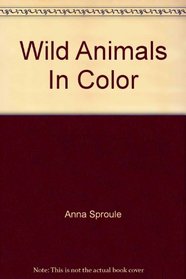 Wild Animals In Color