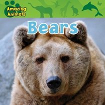 Bears (Amazing Animals)