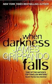 When Darkness Falls (Jack Swyteck, Bk 6)