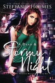 A Dead and Stormy Night (Nevermore Bookshop, Bk 1)