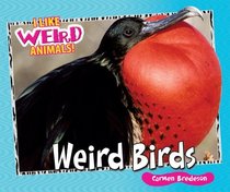 Weird Birds (I Like Weird Animals!)