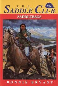 Saddle Bags #42