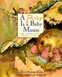 A Pinky is a Baby Mouse : And Other Baby Animal Names (Pinky Baby)