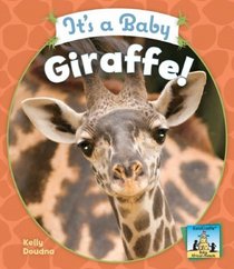 It's a Baby Giraffe! (Baby African Animals)