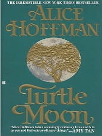 Turtle Moon