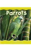 Parrots (Pebble Books)