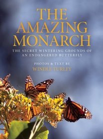 The Amazing Monarch: The Secret Wintering Grounds of an Endangered Butterfly