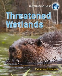 Threatened Wetlands (Protecting Our Planet)