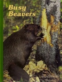 Busy Beavers (Kids Want to Know)