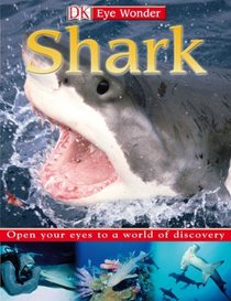 Sharks (Eye Wonder)