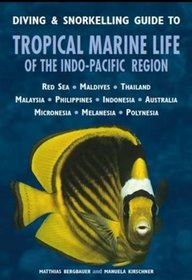 Diving & Snorkelling Guide to Tropical Marine Life of the Indo-Pacific