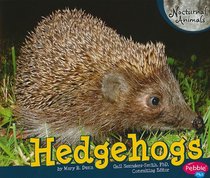 Hedgehogs (Pebble Plus)