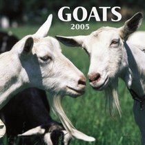Goats 2005 Wall Calendar