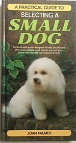 A Practical Guide to Selecting a Small Dog