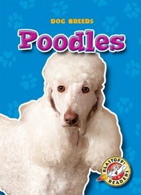Poodles (Paperback)(Blastoff! Readers)