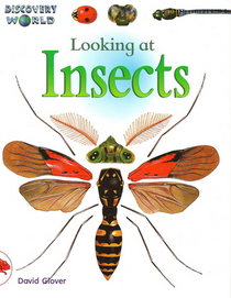 Looking at Insects (Discovery World Series: Red Level)