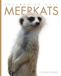 Amazing Animals: Meerkats