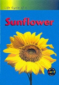 Life Cycle of a Sunflower: Big Book (Life Cycle of A...)