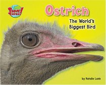 Ostrich: The World's Biggest Bird (Supersized!)