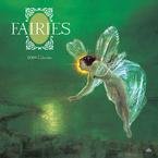 Fairies 2008 Wall Calendar