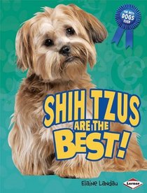 Shih Tzus Are the Best! (The Best Dogs Ever)