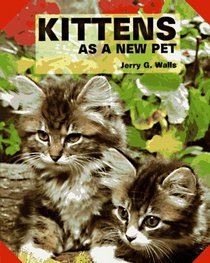 Kittens As a New Pet
