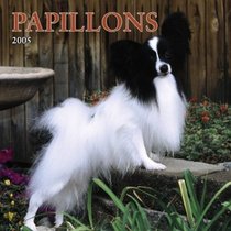 Papillons 2005 Wall Calendar