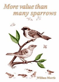 More Value Than Many Sparrows