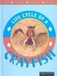 Crayfish (Cooper, Jason, Life Cycles.)